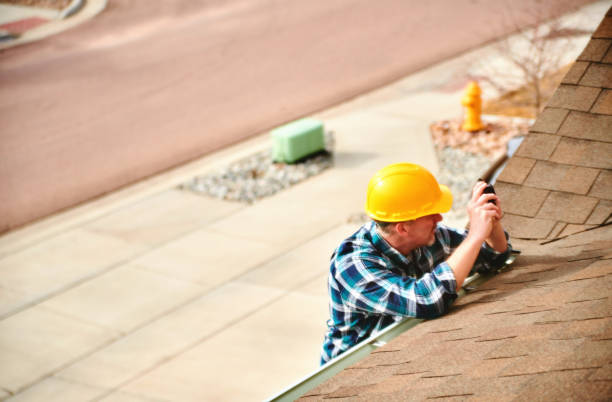 Best Roof Moss and Algae Removal  in Grant Park, IL